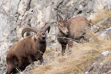 photo du mois en cours