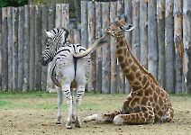 photo du mois en cours