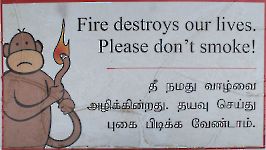 photo du mois en cours