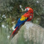 photo du mois en cours