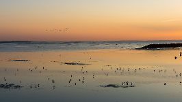 photo du mois en cours